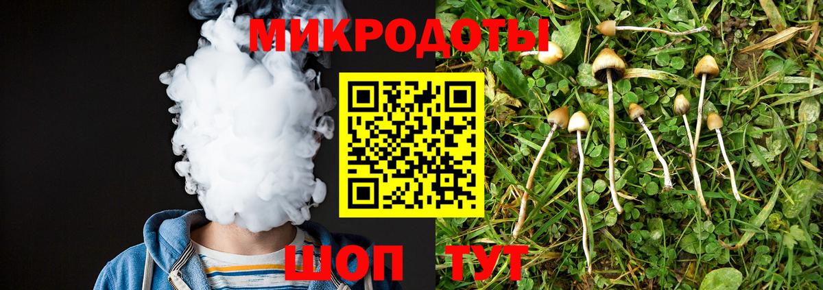 Псилоцибиновые грибы GOLDEN TEACHER Тулун