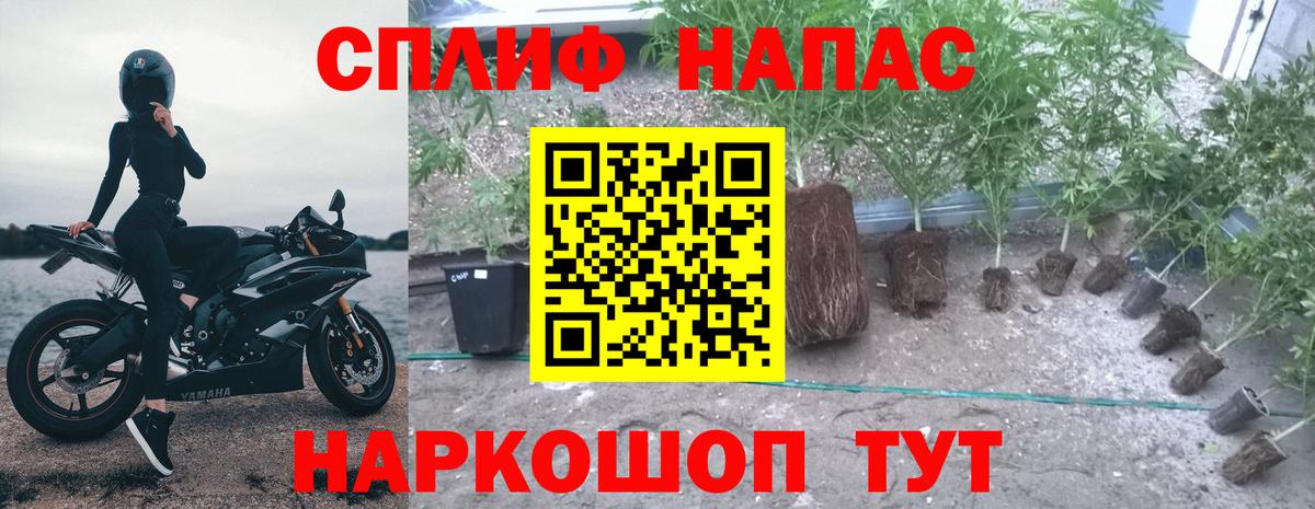 МАРИХУАНА VHQ  Шишки марихуана LSD WEED  Вход с VPN  Тулун  Каннабис гибрид 